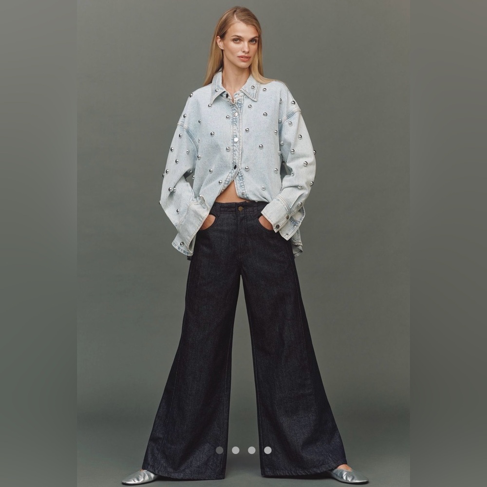 The Aldi Sparkle Mid-Rise Flare Pants by Pilcro, Size 28 - Picture 4 of 7